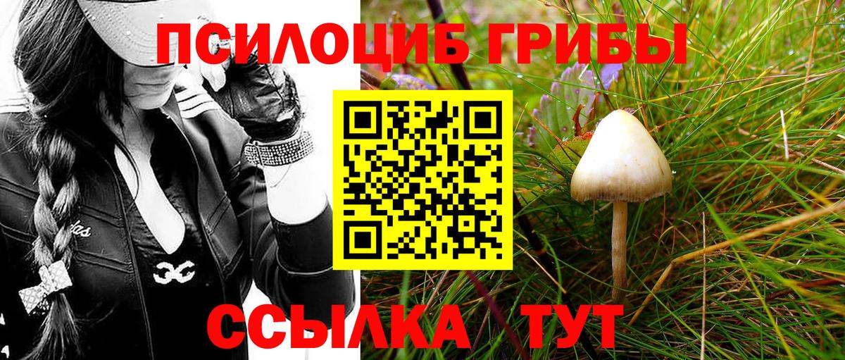 Псилоцибиновые грибы MAGIC MUSHROOMS  купить  сайты  Сунжа  Вход с VPN 