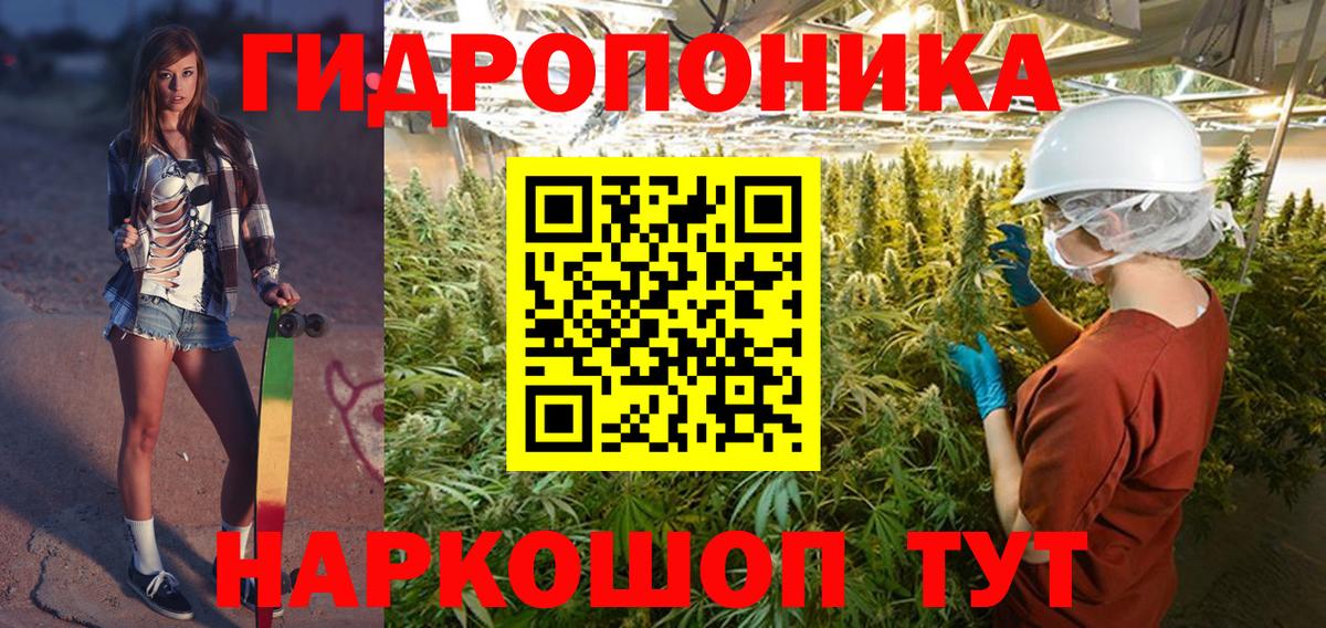 Конопля White Widow Сунжа